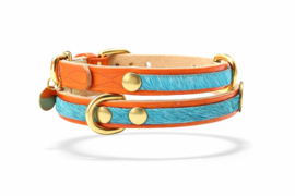DOG STORIES #4 ORANGE/TURKISES LEDERHALSBAND