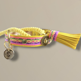SUMMER DOG COLLAR