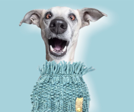 DOG SNOOD WITH FRINGE  SEA GREEN