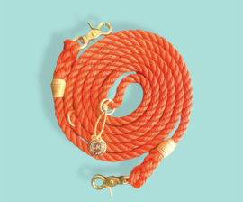 CARROT  NYLON LEASH  LENGHT 2M