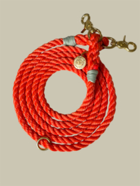 ORANGE DOG LEASH NYLON 2M