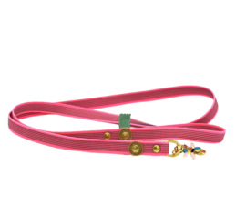 SHINE DOG LEASH