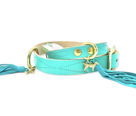 TURQUOISE  LEATHER DOG COLLAR  | TURQUOISE