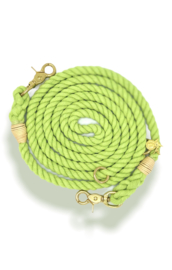 RUNWAY GREEN DOG LEASH