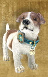 MODIEUZE HALSBAND VOOR JE HOND