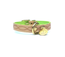 POPULAR DOG COLLAR SPEEDY in NEON GREEN