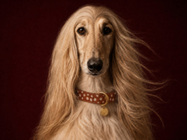 HALSBAND HIRSCH-PRINT BAMBI EDITION