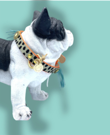 DESIGNER DOG COLLAR NEON ANIMAL