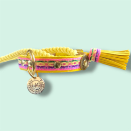 SUMMER DOG COLLAR