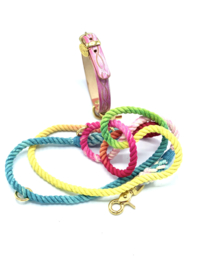 DOG LEASH MARIA IN RAINBOW COLOUR IN S OR M