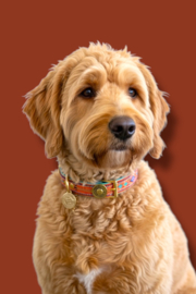 HALSBAND ORIËNT EXPRESS #1