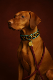 COLLAR CUERO HAKUNA MATATA #1