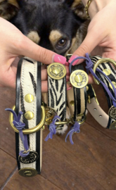 ZEBRA DOG COLLAR | LEATHER