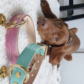 POSH PINK DOG COLLAR| LEATHER