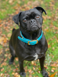 BLAU TÜRKIS AZTEKENHALSBAND