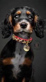 COLLIER POUR CHIEN LEOPARD ET ROUGE