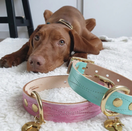 THE STRAND DOG COLLAR