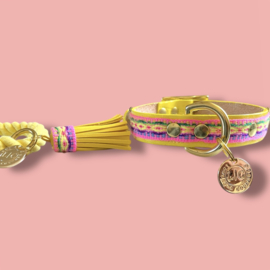 SUMMER DOG COLLAR