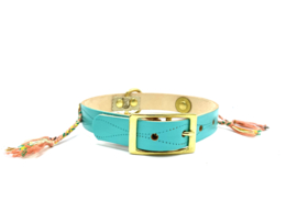 DOG COLLAR |  TAKE ME TO MALAGA  |  LEATHER