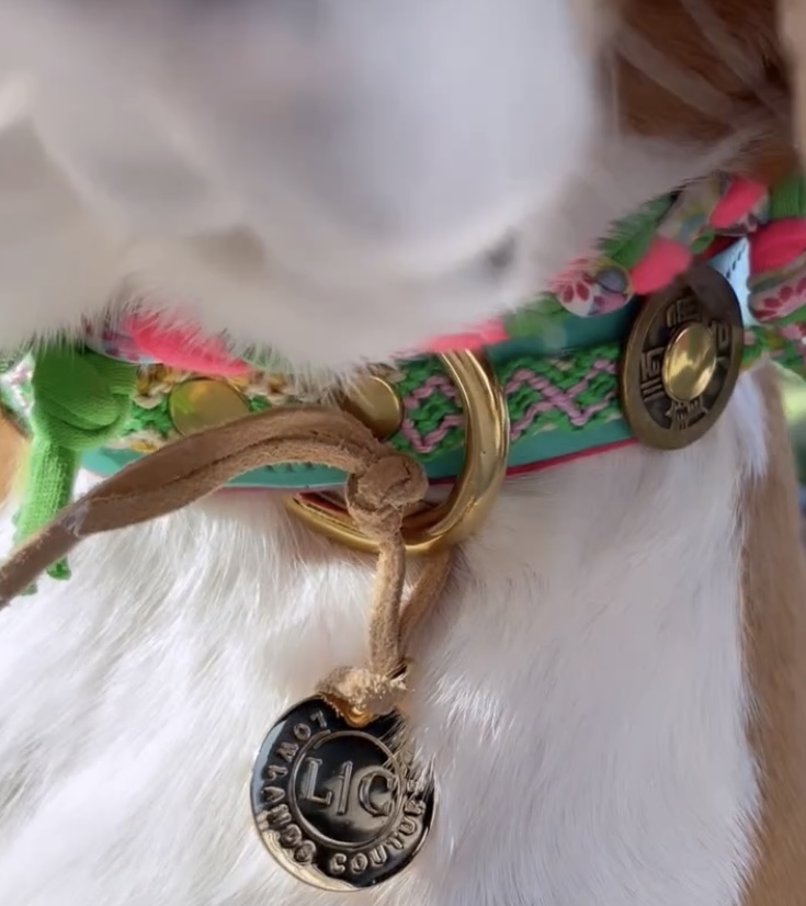 LEREN HONDENHALSBAND GROEN ROZE