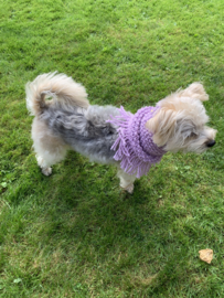 LILAC DOG SNOOD DOG SCARF