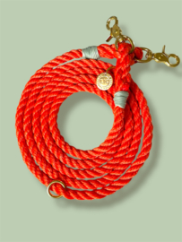 TAU-LEINE HUND ORANGE