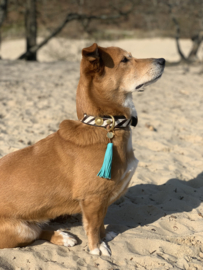 ZEBRA DOG COLLAR | LEATHER