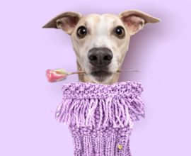 LILAC DOG SNOOD DOG SCARF