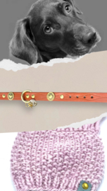 DOG COLLAR MOCHA MOUSSE