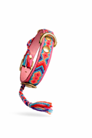 COLLIER DE CHIEN SUNSET