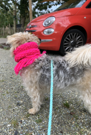 HUNDE SCHAL  NEON PINK