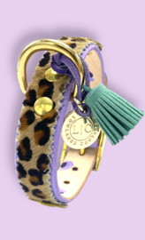 LEOPARD PRINT DOG COLLAR LILAC