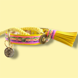 SUMMER DOG COLLAR