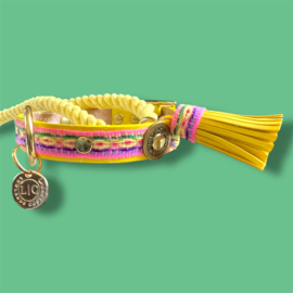 SUMMER DOG COLLAR