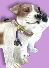 EXCLUSIVE LEATHER DOG COLLAR DOG STORIES #5