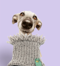 HUNDE SNOOD LOOP SCHAL GRAU