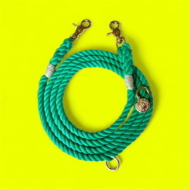 HONDENRIEM GROEN 2m