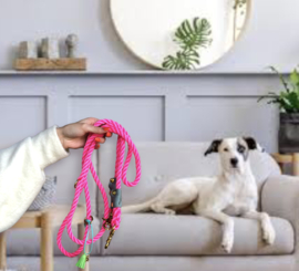 NEON PINK HUNDE LEINE NYLON