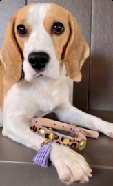 LEOPARD PRINT DOG COLLAR LILAC