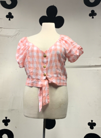 Pink & White  checkered Blouse