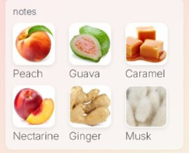 Paris Corner Khair Peach de Lulu