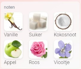 Paris Corner Qissa Pink
