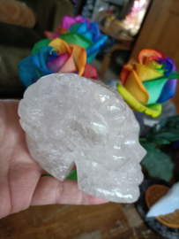Bergkristal schedel met hoorns