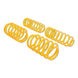 ST Suspension Verlagingsveren voor: SKODA FABIA III Estate (NJ5) 08/2014-
