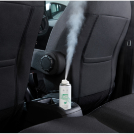 Autoglym Spearmint Fogger 150ml