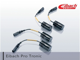 Eibach