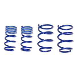 AP Suspension Verlagingsveren voor: SKODA FABIA III Estate NJ5 08 2014-