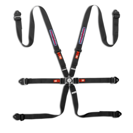 Martini Gordel Comp. H-2Pd Mr 6Pt