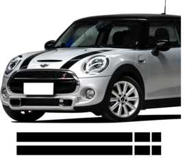 Mini Cooper Striping