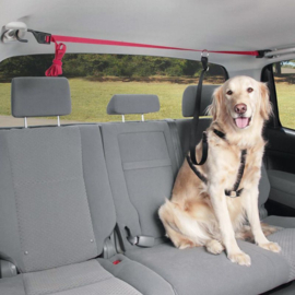 Pets Travel auto veiligheidslijn met riem